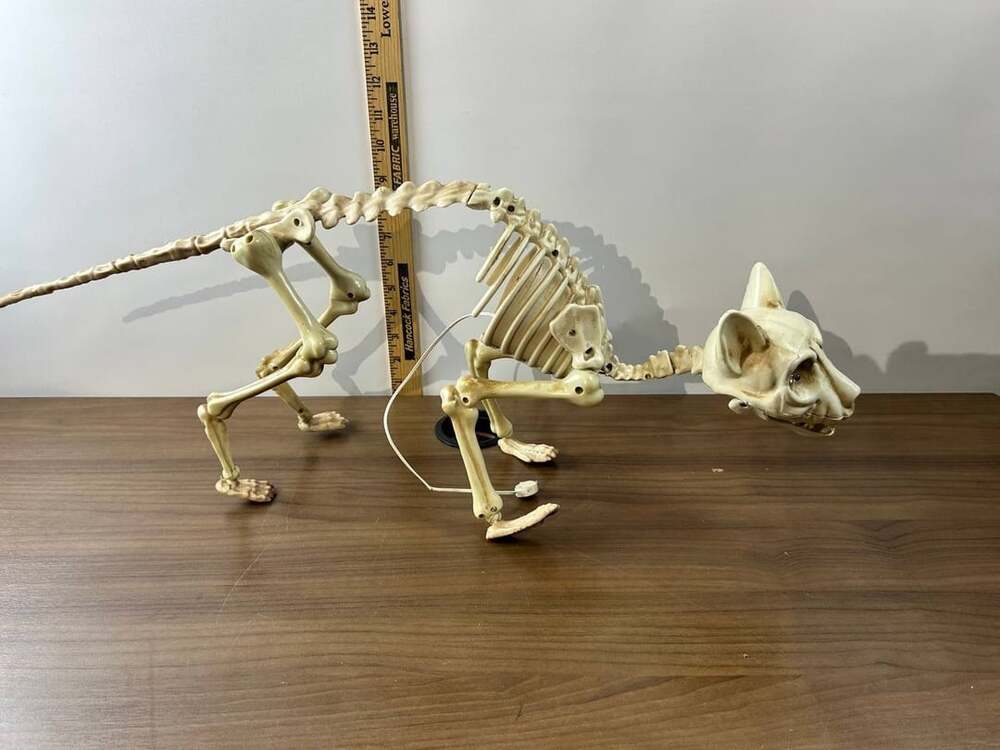 Animated Skeleton Cat Halloween Decoration Light Up Eyes Sound Motion 15”